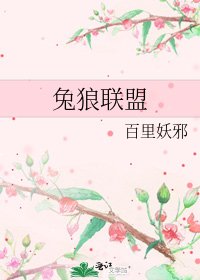 《兔狼联盟》