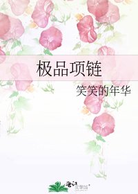 极品项链