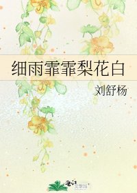 《细雨霏霏梨花白》