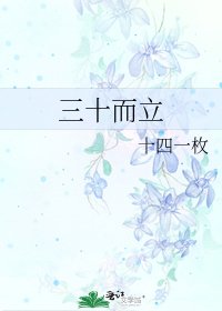 《三十而立》