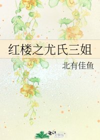 《红楼之尤氏三姐》
