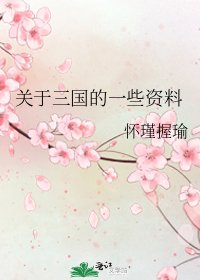 《关于三国的一些资料》