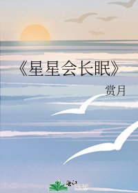 《星星会长眠》