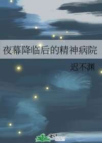 《夜幕降临后的精神病院》
