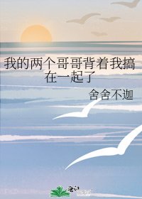我的两个哥哥背着我搞在一起了