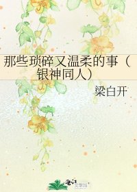 《那些琐碎又温柔的事(银神同人)》