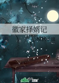 《徽家择婿记》
