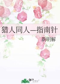 《猎人同人—指南针》