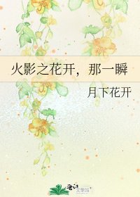 《火影之花开,那一瞬》