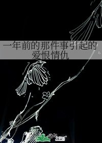 《一年前的那件事引起的爱恨情仇》
