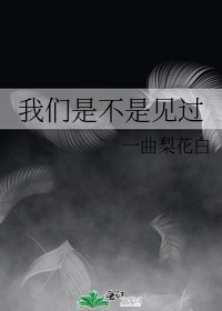 《我们是不是见过》