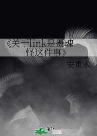 《关于link是摄魂怪这件事》