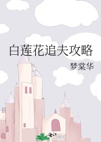 《白莲花追夫攻略》