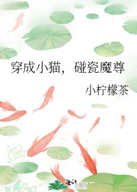 《穿成小猫,碰瓷魔尊》