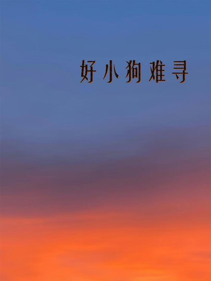 《好小狗难寻》