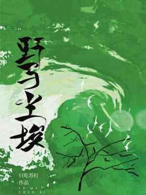《野马尘埃》