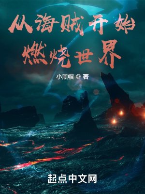 《从海贼开始燃烧世界》