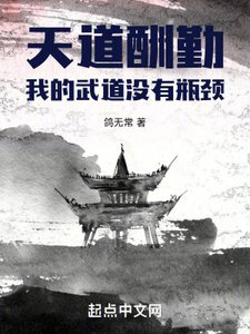 《天岛酬勤:我的武岛没有瓶颈》