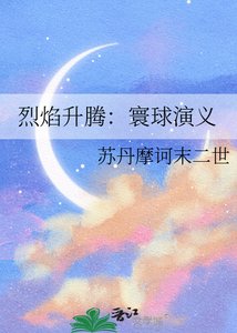 《烈焰升腾:寰亿演义》