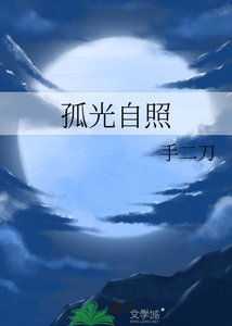《孤光自照》