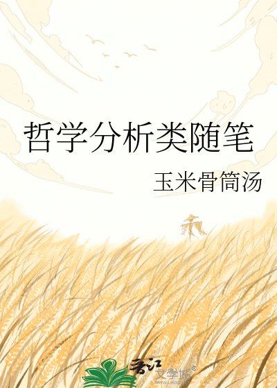 《哲学分析类随笔》