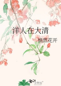 洋人在大清