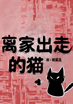《离家出走的猫》
