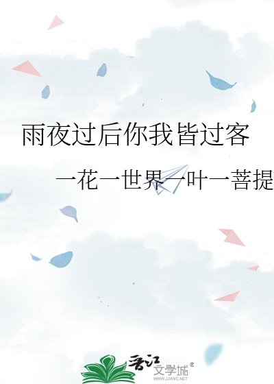 《雨夜过后你我皆过客》