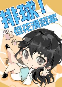 《(综漫同人)排亿但花话冠军》