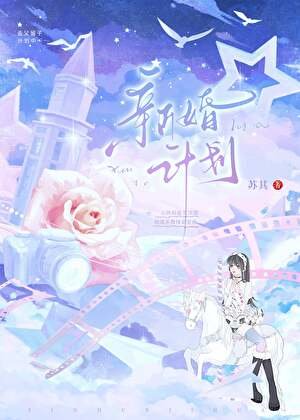 《新婚计划》