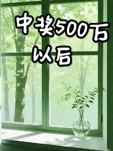 《中奖500万以后》