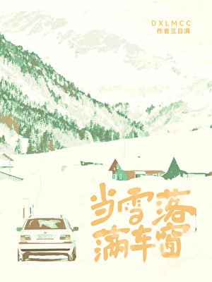 当雪落满车窗