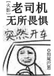 《(BL/火影同人)老司机无所畏惧》