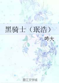 《(BL/韩娱同人)黑骑士(珉浩)》