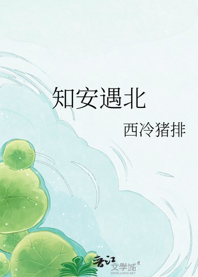 《知安遇北》