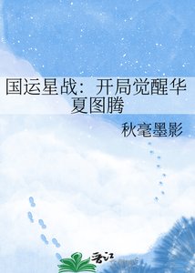 《国运星战:开局觉醒华夏图腾》