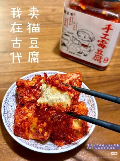 《我在古代卖霉豆腐》