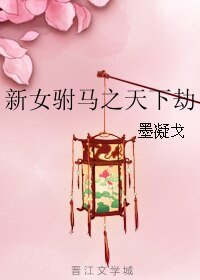 《(GL/新女驸马同人)新女驸马之天下劫》