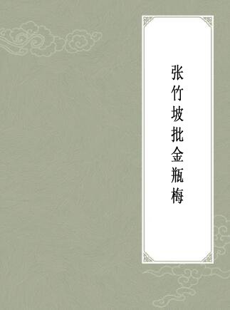《张竹坡批金瓶梅》