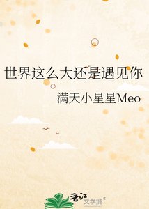 《世界这么大还是遇见你》
