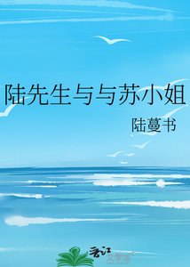 《陆先生与与苏小姐》