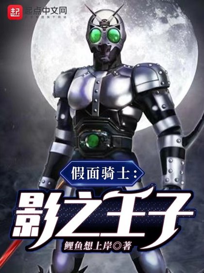 《(假面骑士同人)假面骑士:影之王子》