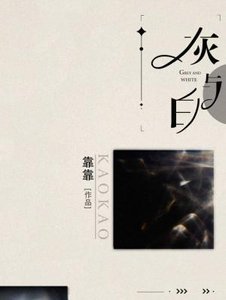 《灰与白》