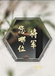 《将军,您哪位?》