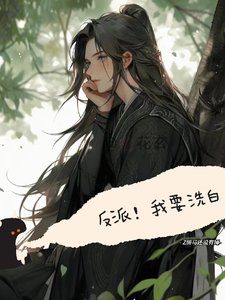 《反派,我要洗白》