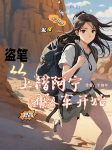 《(盗墓笔记同人)盗笔:从上错阿宁团队车开始》