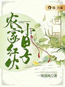《农家轰火小碰子》