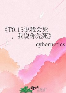 《赛博系统DDD》