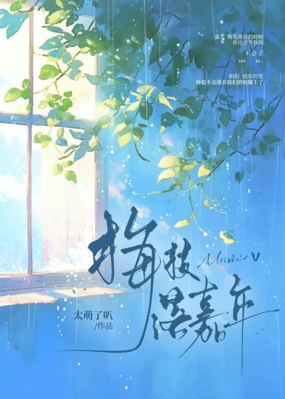 《梅枝落嘉年》