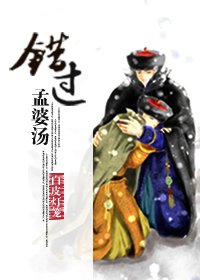 《(数字军团)错过孟婆汤(胤禟穿奕忻)》